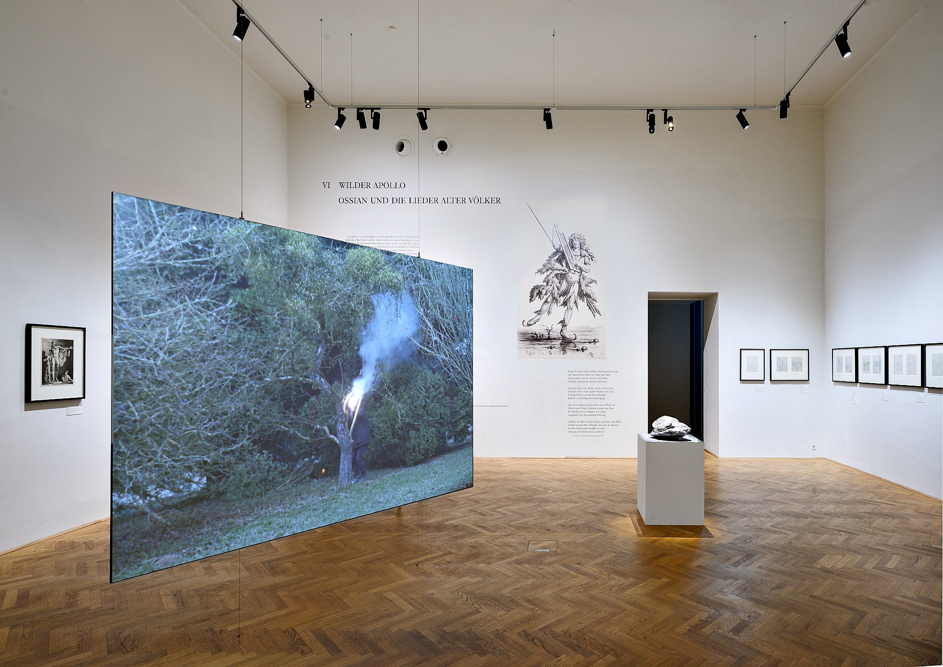 Exhibition view Wild Apollo’s Arrows © Art Collections of the Academy of Fine Arts Vienna, photo: Iris Ranzinger