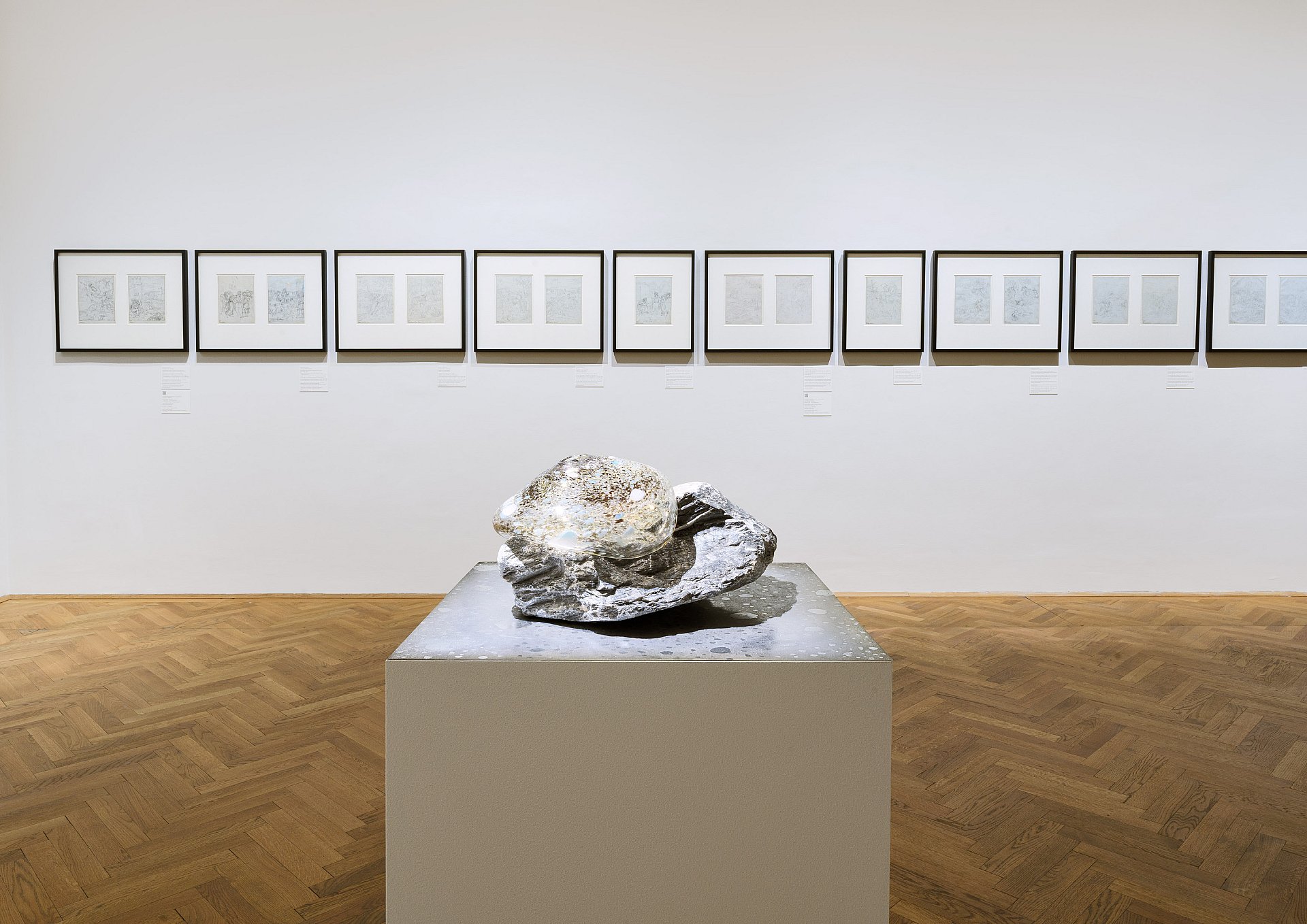 Exhibition view Wild Apollo’s Arrows © Art Collections of the Academy of Fine Arts Vienna, photo: Iris Ranzinger